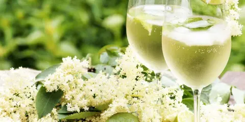 Två glas med Hugo, en uppfriskande drink med fläder, lime och mynta. Perfekt för en sommardag, här är ett enkelt hugo recept.