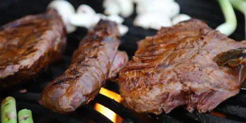 Saftiga bitar av rådjur grillas över öppen eld, med champinjoner och gröna stjälkar som tillbehör.