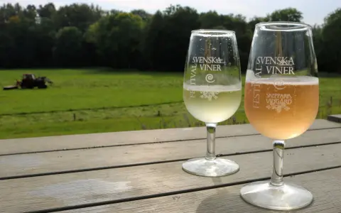 Två glas med bubbel står på ett träbord med utsikt över ett fält och skog. Ett av glasen är märkt "Skepparps Vingård".