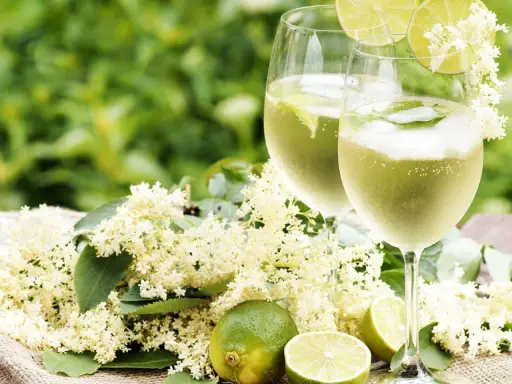 Två glas med Hugo, en uppfriskande drink med fläder, lime och mynta. Perfekt för en sommardag, här är ett enkelt hugo recept.